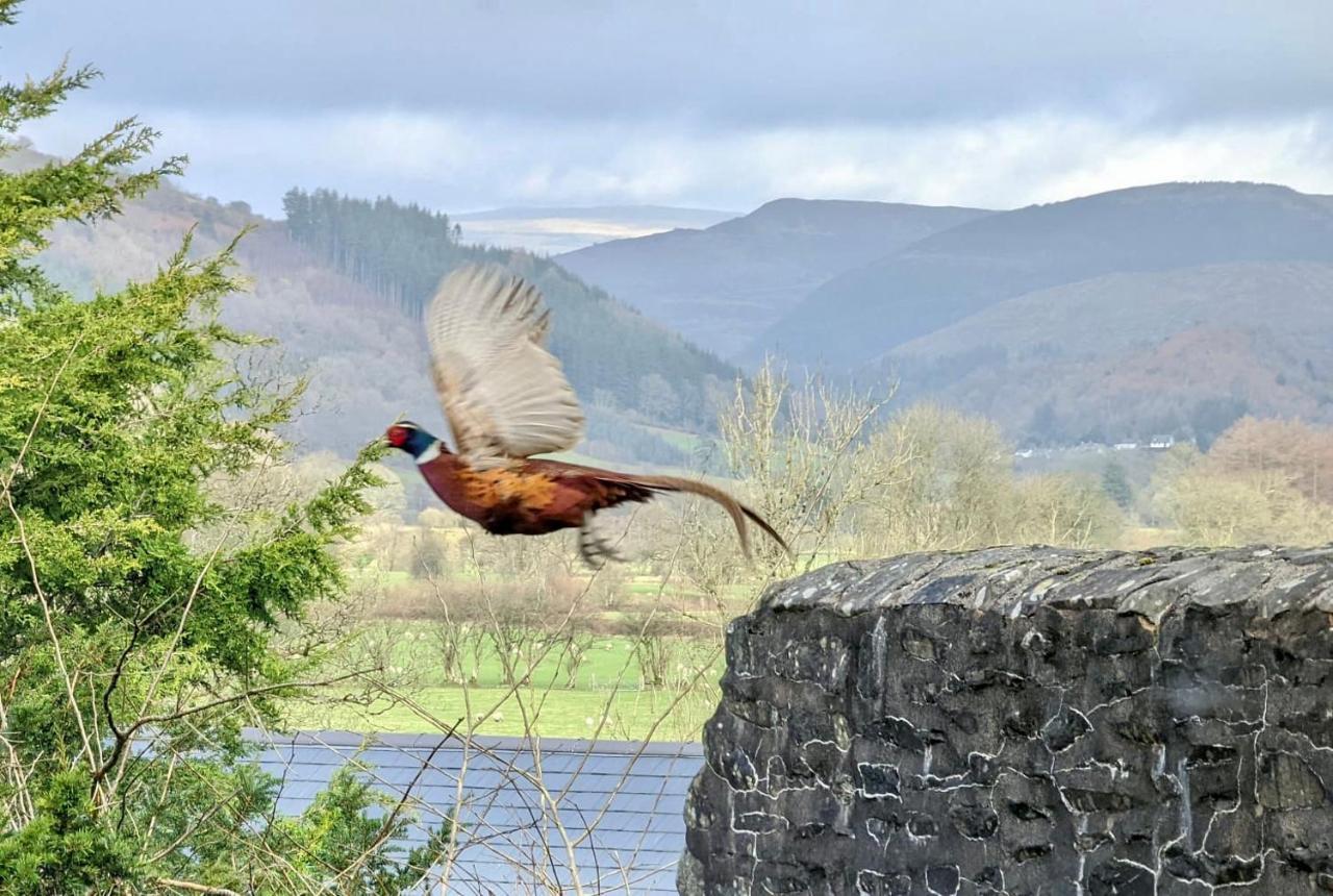 Aberhiriath Hall - The Old Georgian Manor House By The River Dyfi Cemmaes Exterior photo